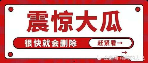 娱乐圈吃瓜 段子大全